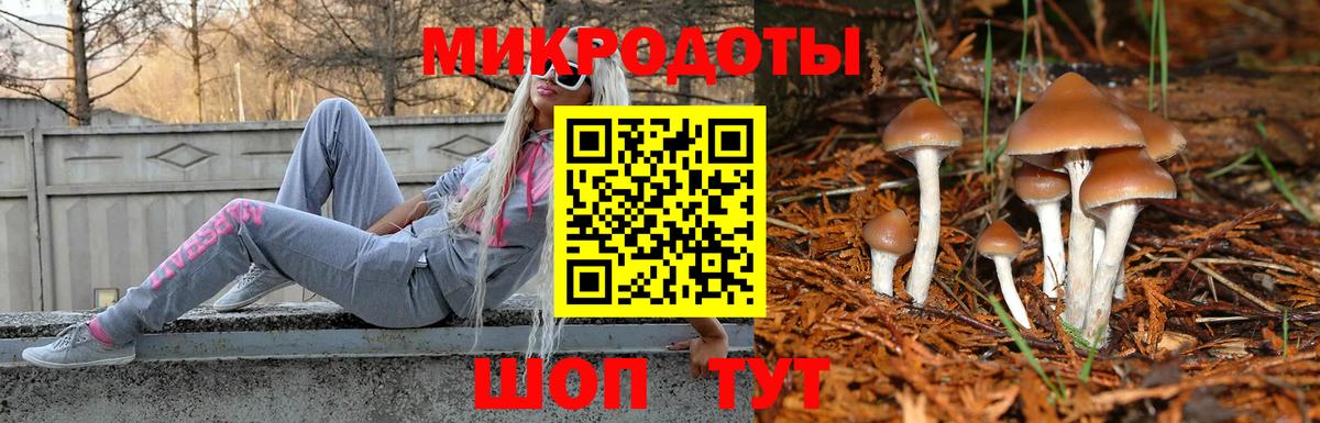 купить наркотик  Вход с VPN  Алушта  Псилоцибиновые грибы GOLDEN TEACHER 